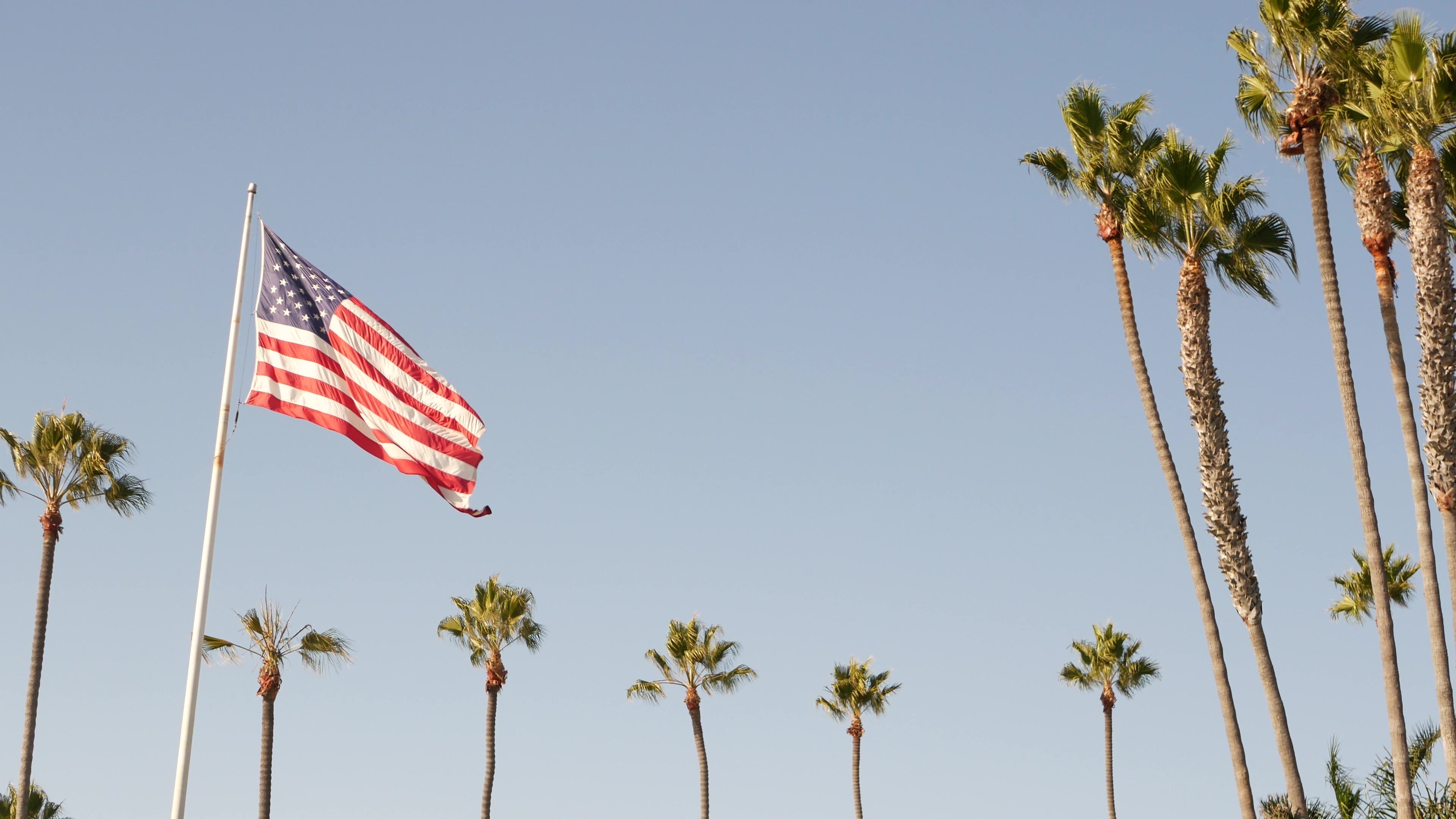 American flag waving with palm trees in Florida