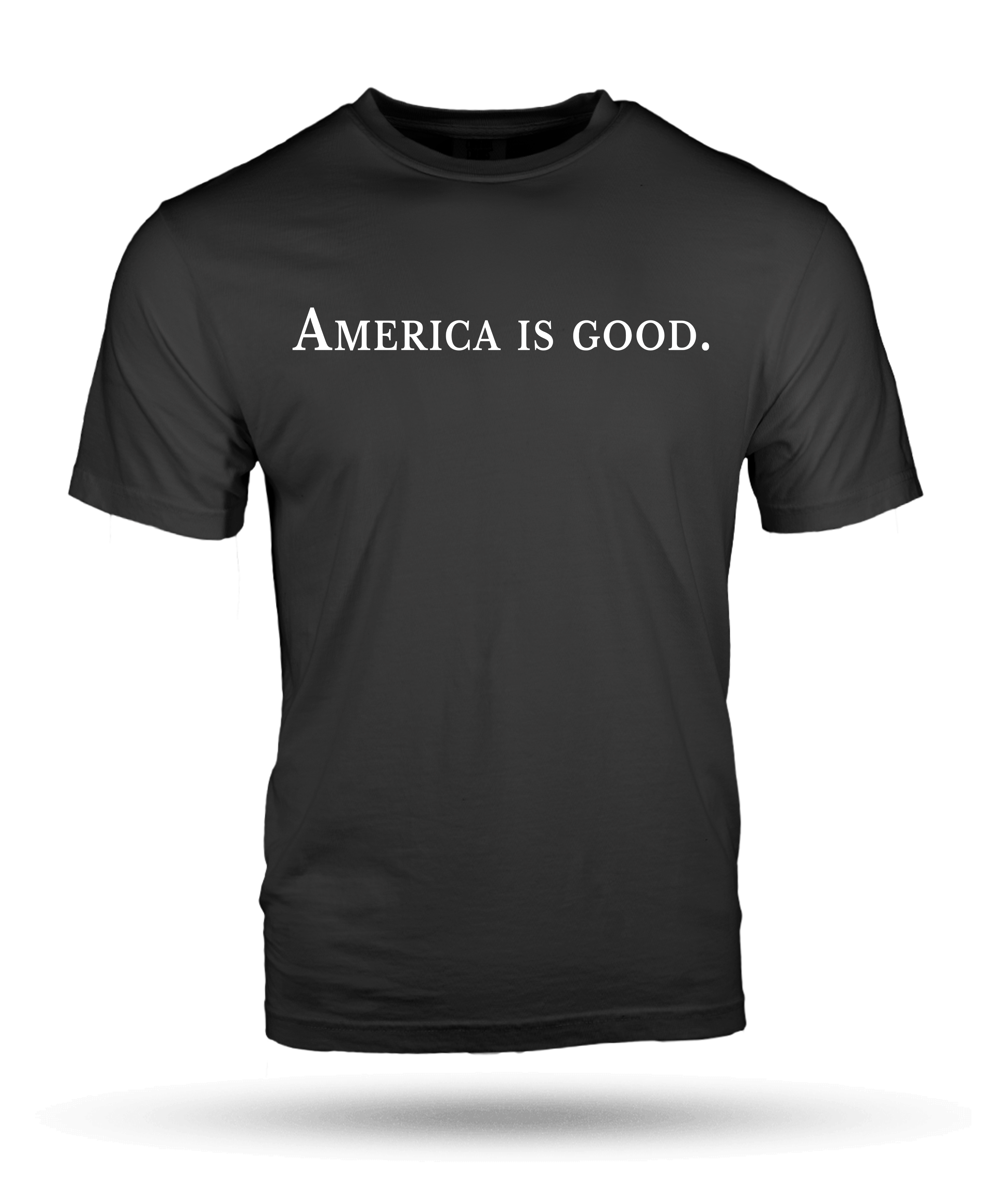 AMERICA IS GOOD T-SHIRT