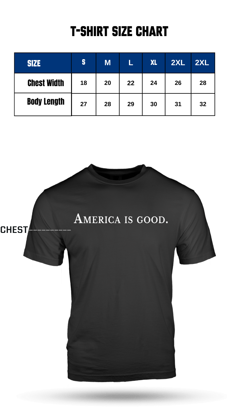 AMERICA IS GOOD T-SHIRT